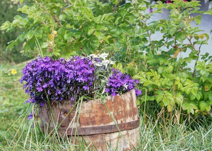 Appartamento Marcolski Breuil-Cervinia